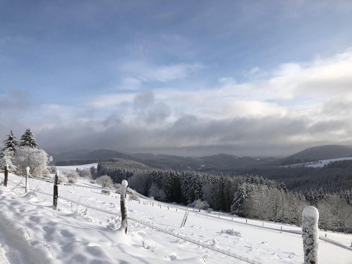 Ferienhaus Kuestelblick Medebach Bagian luar foto