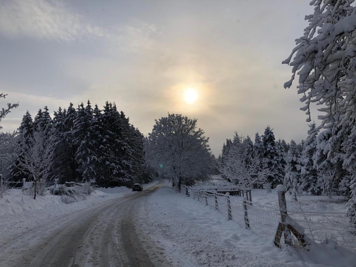 Ferienhaus Kuestelblick Medebach Bagian luar foto