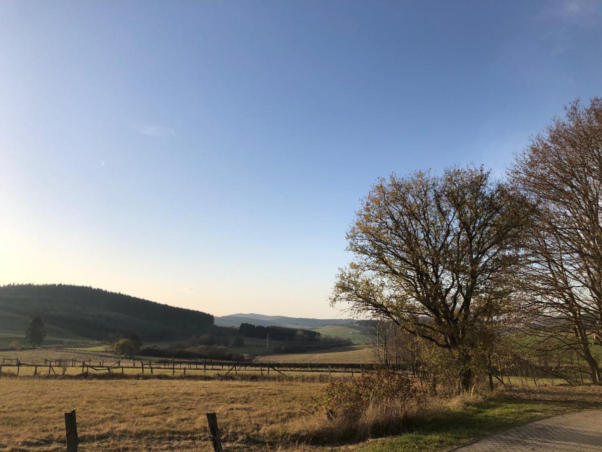 Ferienhaus Kuestelblick Medebach Bagian luar foto