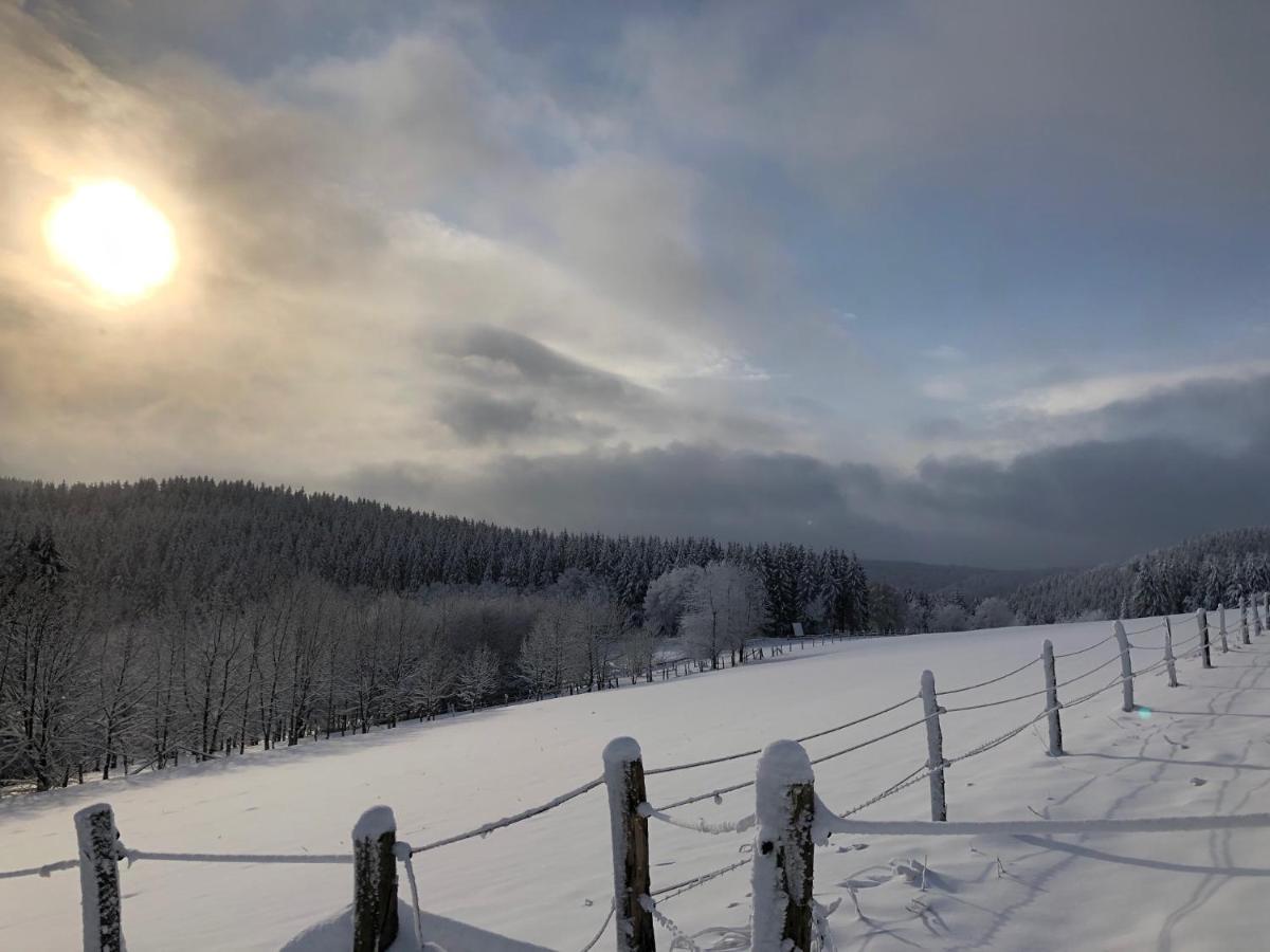 Ferienhaus Kuestelblick Medebach Bagian luar foto