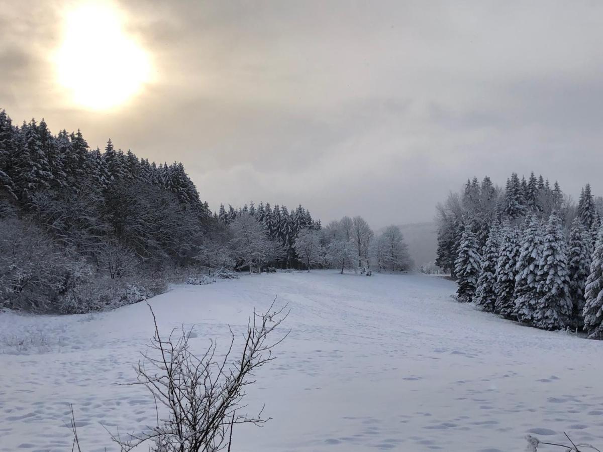 Ferienhaus Kuestelblick Medebach Bagian luar foto