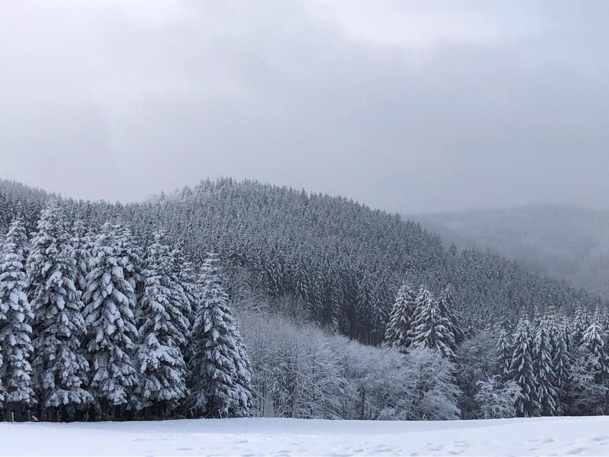 Ferienhaus Kuestelblick Medebach Bagian luar foto