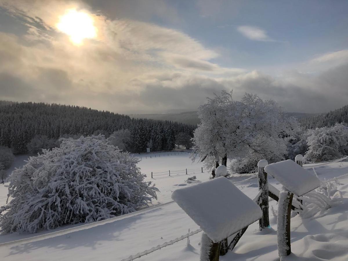Ferienhaus Kuestelblick Medebach Bagian luar foto